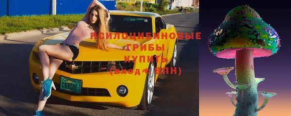 ECSTASY Кодинск