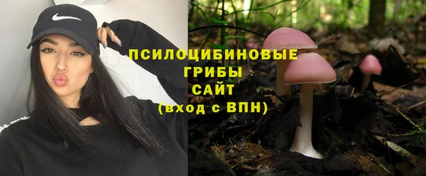 apvp Козловка