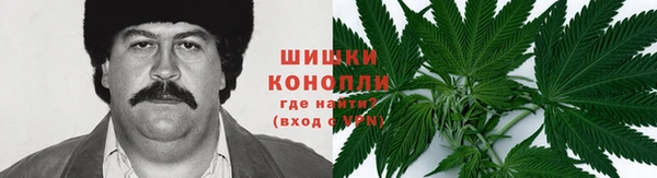 ECSTASY Кодинск