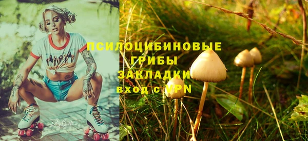 кокаин премиум Козельск