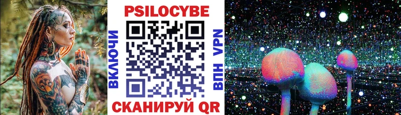 Псилоцибиновые грибы Psilocybine cubensis  Ногинск 